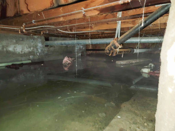 Best Basement water damage restoration  in Coventry Lake, CT