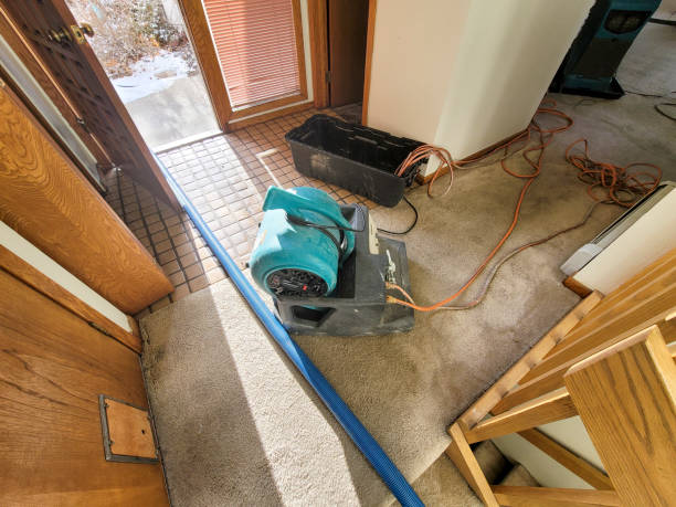 Best Mold removal after water damage  in Coventry Lake, CT