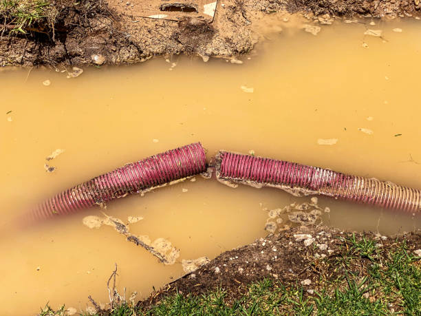 Best Water damage restoration company  in Coventry Lake, CT